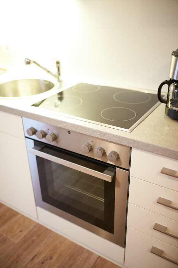Appartements Hollin 萨尔巴赫 外观 照片